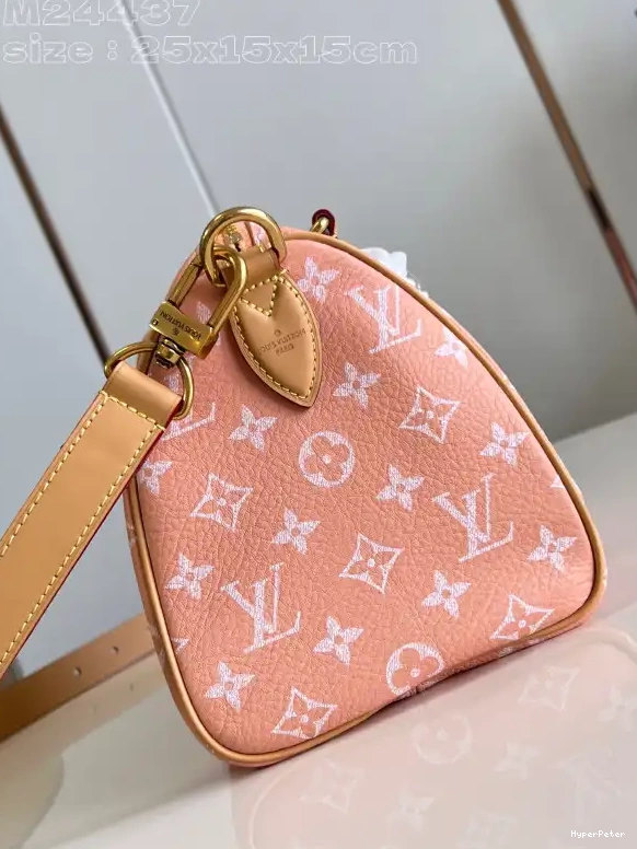 SPEEDY Louis Vuitton 25 0706